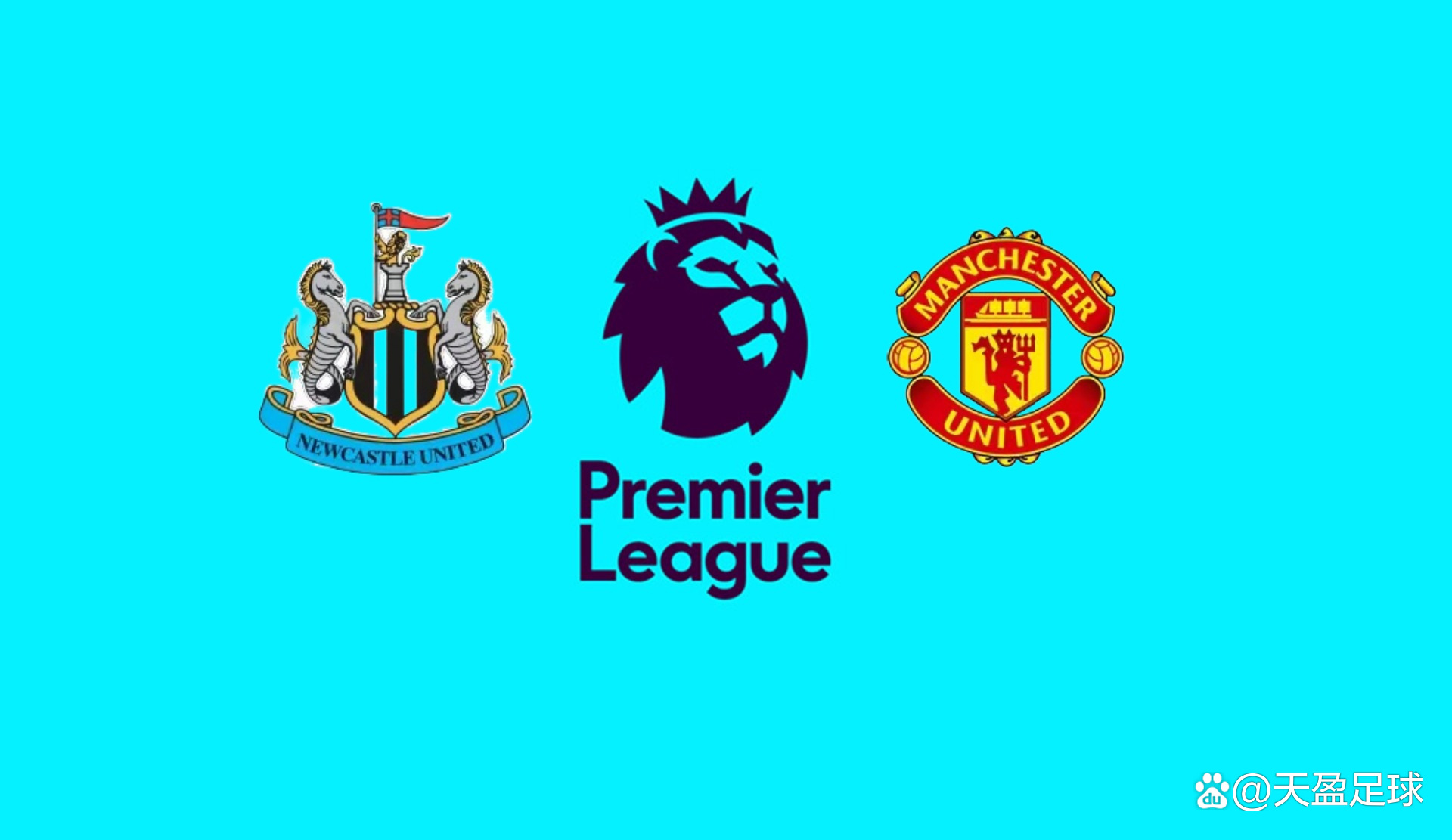 退出国家队 退出国家队