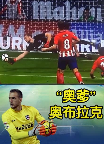 这一成功案 这一成功案