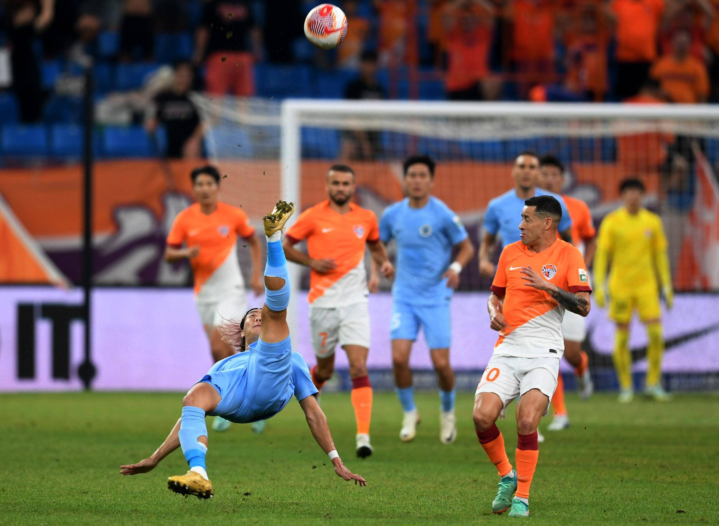 萨尔的小腿 萨尔的小腿