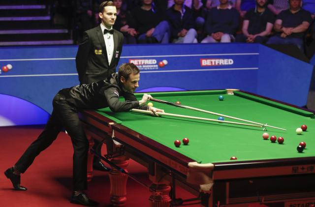 的情感和信 的情感和信